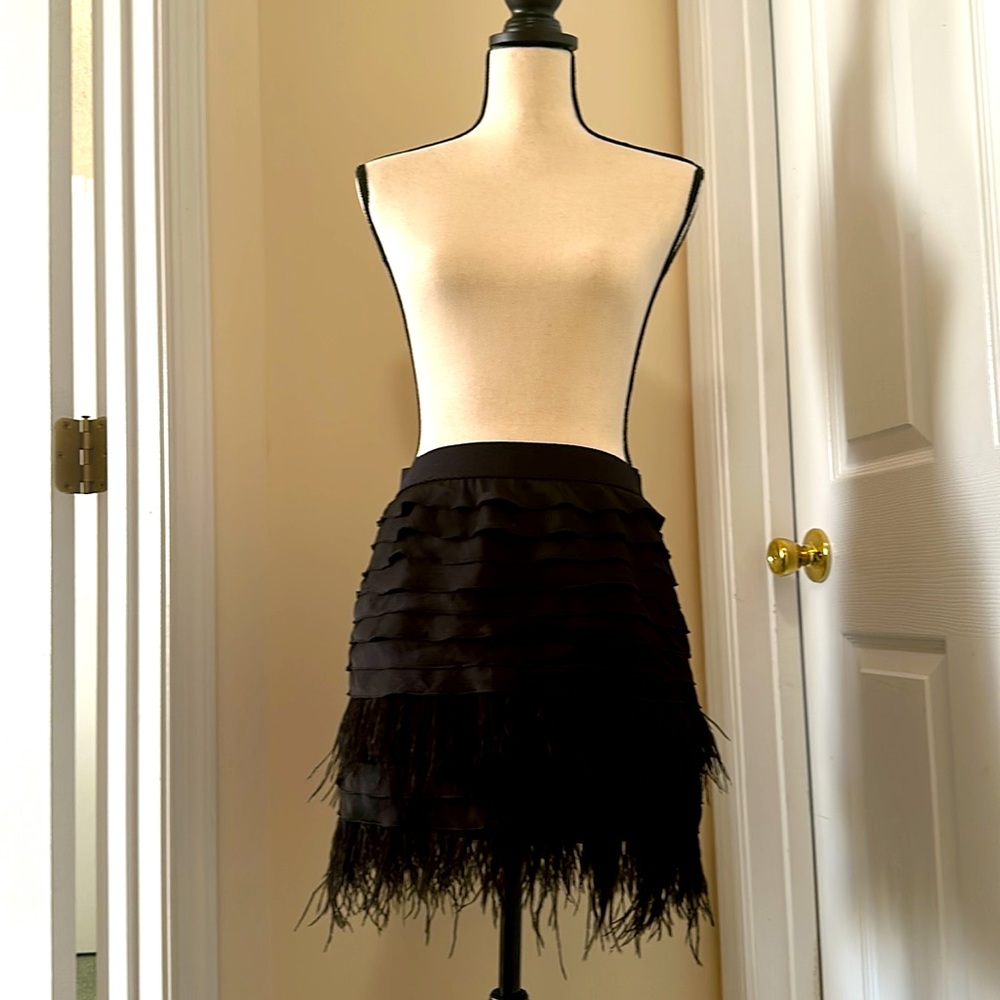 Brand New Black Skirt with Feather Trim. Excellent with tights!